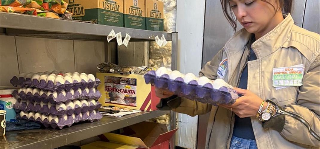  İl MERKEZİNDE FAALİYET GÖSTEREN   FIRINLARIN DENETİMLERİ YAPILDI