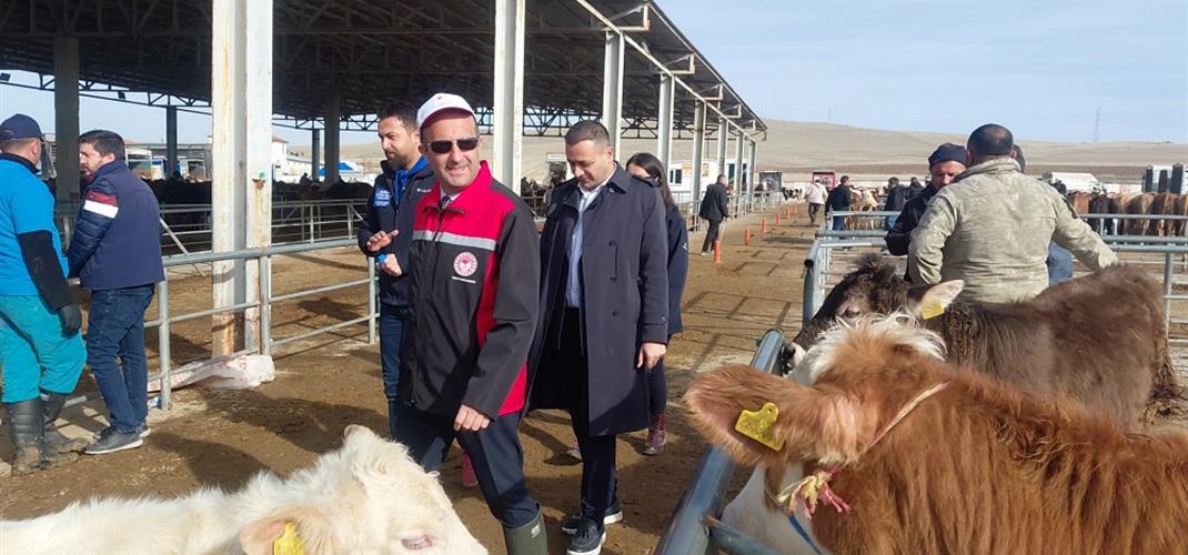 İl Müdürümüz bölgemizin en büyük hayvan pazarı denetimini yaptı