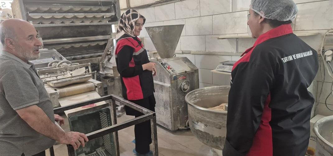 2025 Yılı Gıda Denetimleri