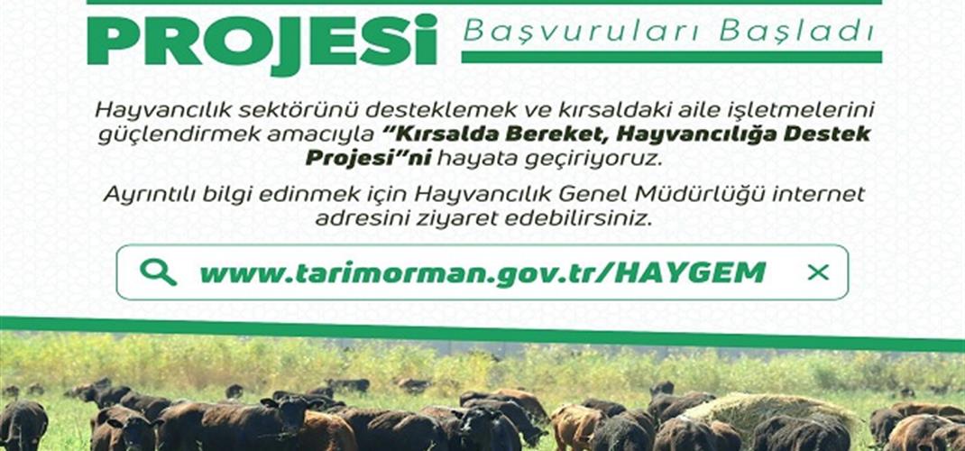 Kırsalda Bereket Hayvancılığa Destek Projesi başvuruları başlamıştır