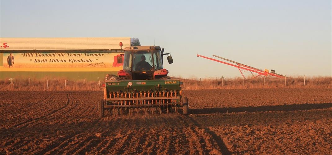 YERLİ BUĞDAY-ARPA EKİMLERİ YAPILDI