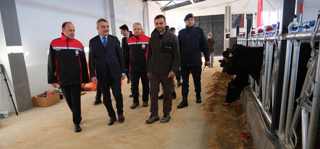 Valimiz Mehmet Ali Özkan, Kırsalda Bereket, Hayvancılığa Destek Projesi kapsamında 26 adet damızlık hayvan teslim alan Veteriner Hekim Abdüssamet Zararsız’ı, Merkez Divanlı Mahallesi’nde kurduğu besi çiftliğinde ziyaret etti.