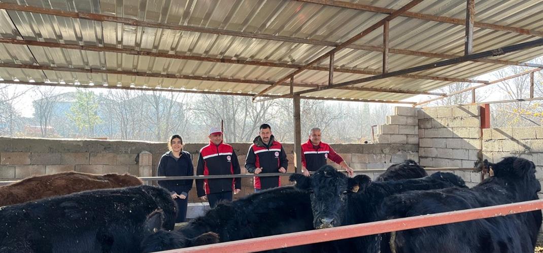 Kırsalda Bereket, Hayvancılığa Destek Projesi