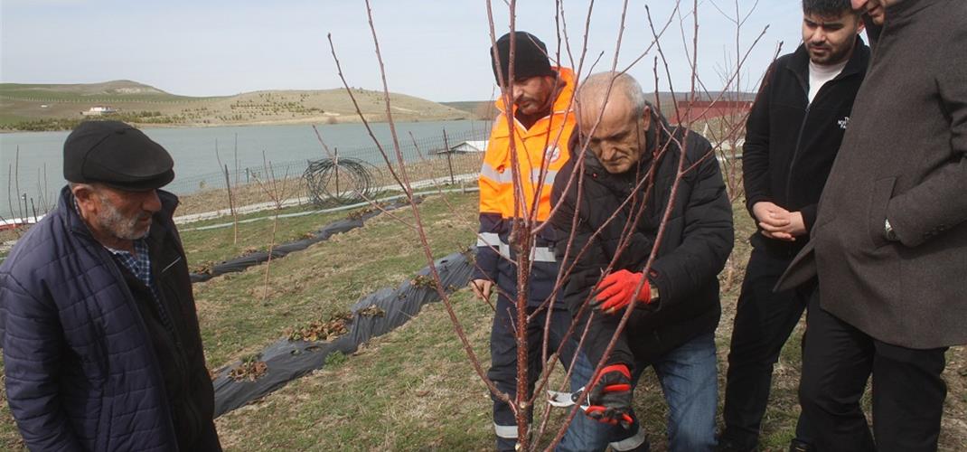  Budama Eğitimi Verildi